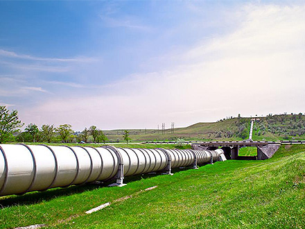 中欧体育官网企业风采五